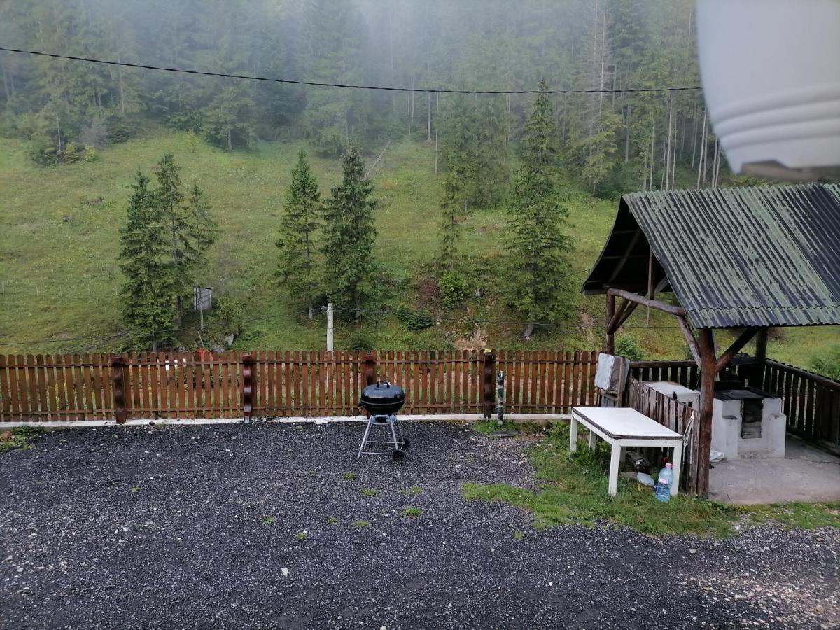 Pensiunea Izabel Lacu Rosu Bagian luar foto