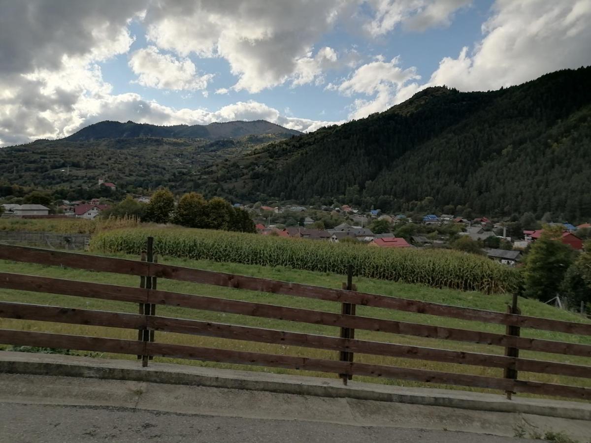 Pensiunea Izabel Lacu Rosu Bagian luar foto