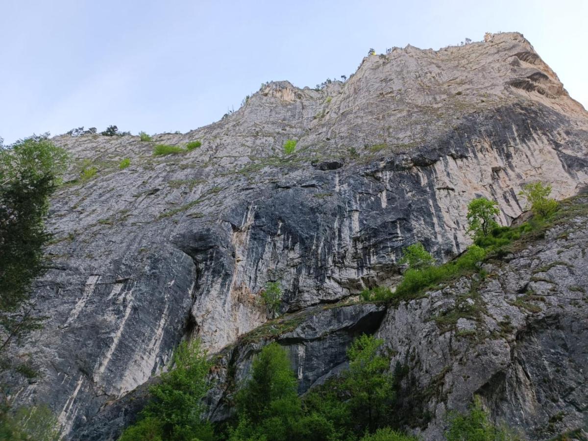 Pensiunea Izabel Lacu Rosu Bagian luar foto