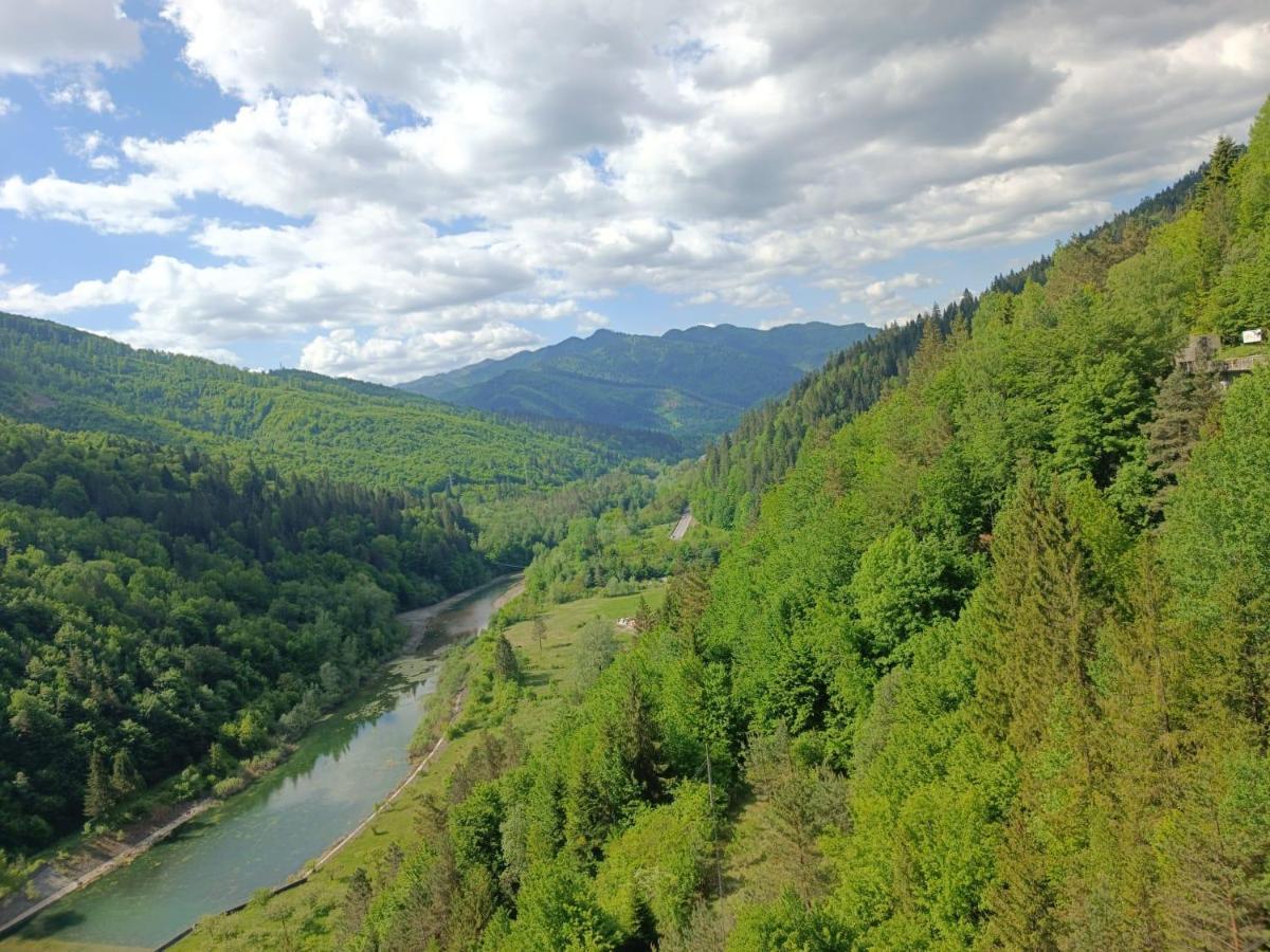 Pensiunea Izabel Lacu Rosu Bagian luar foto